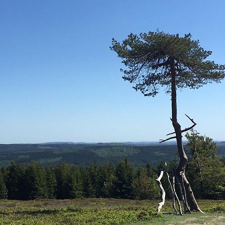 Berg- Und Seeblick Винтерберг Екстериор снимка